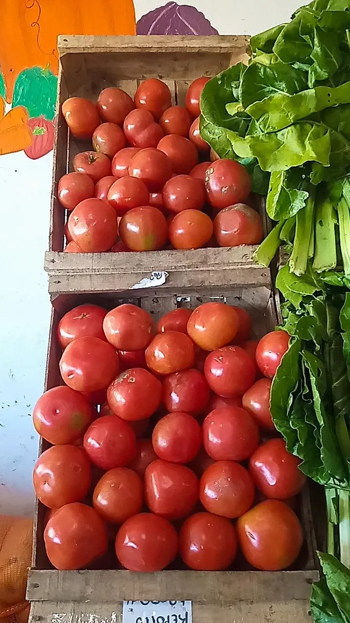 Tomate por kg - 2kg $3000