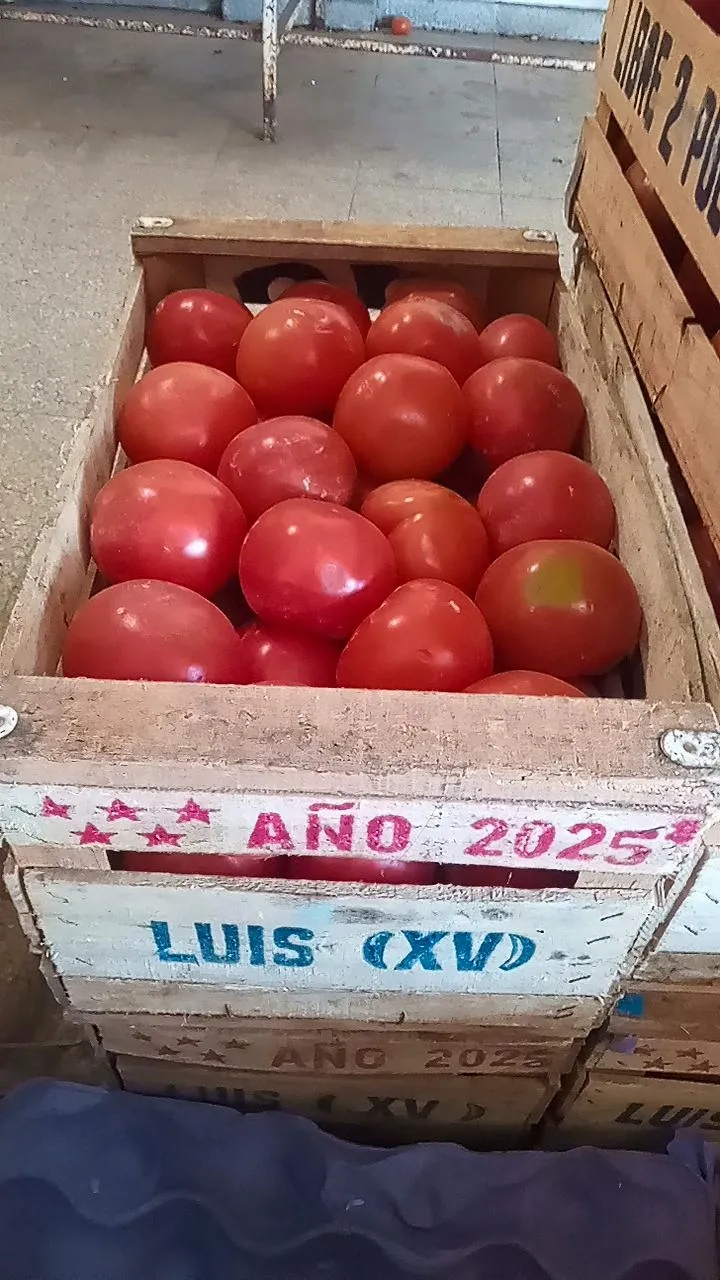 Tomate Cajon grande - llevando 2 $24000