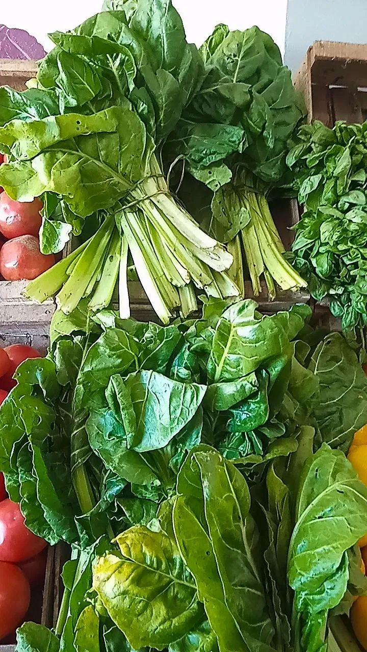 Jaula acelga