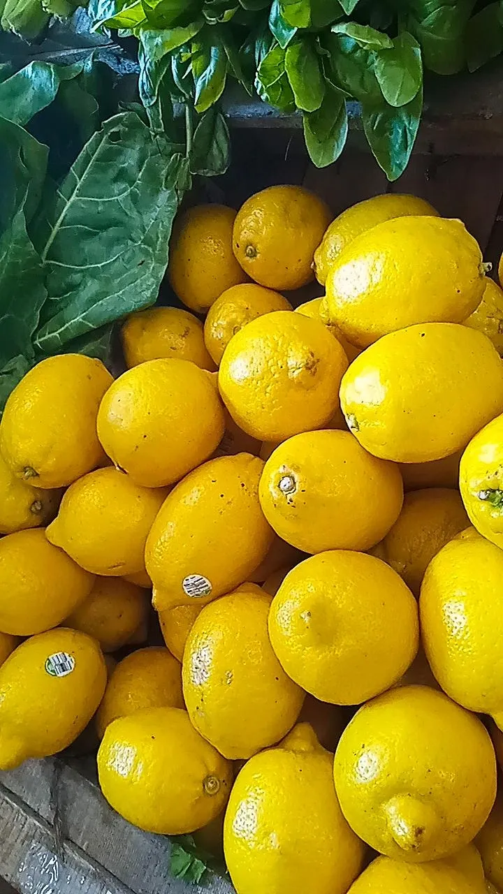 Limon x KG