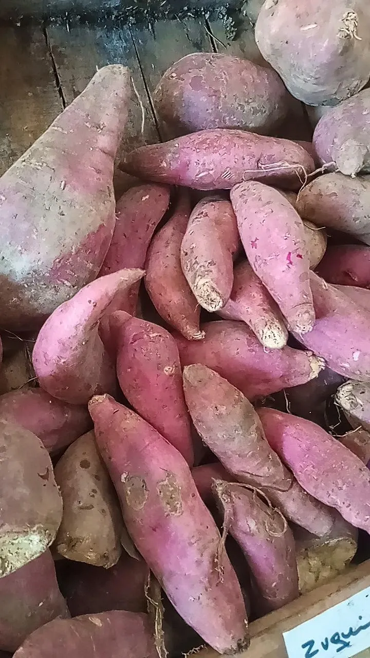 Batata color x KG