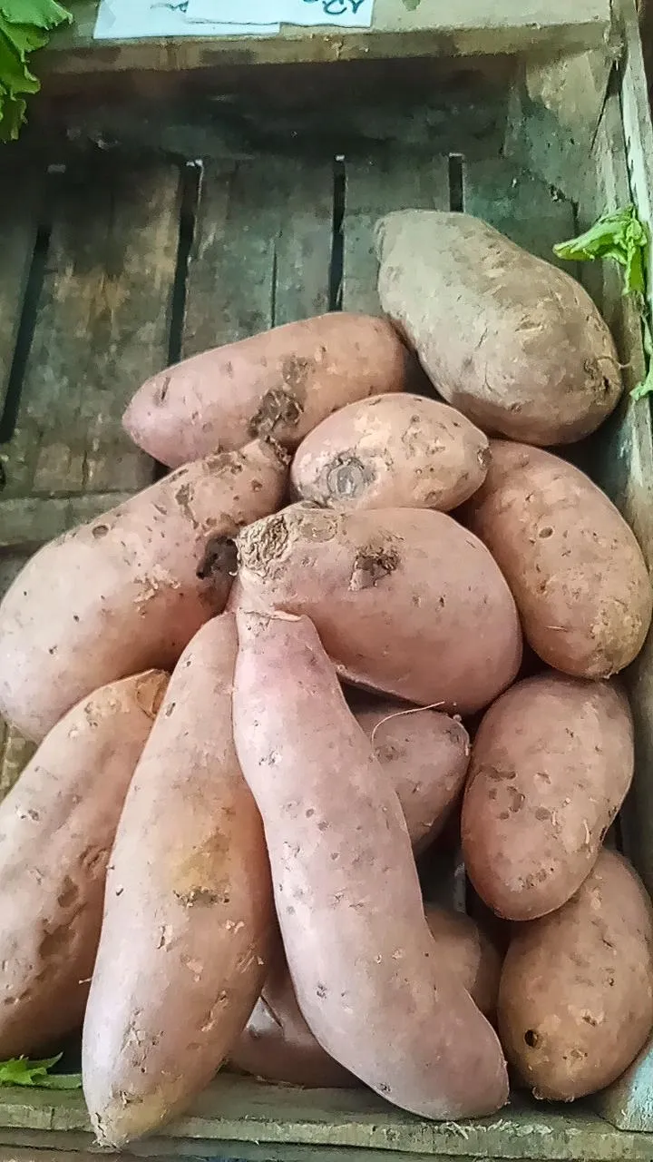 Batata amarilla x Kg
