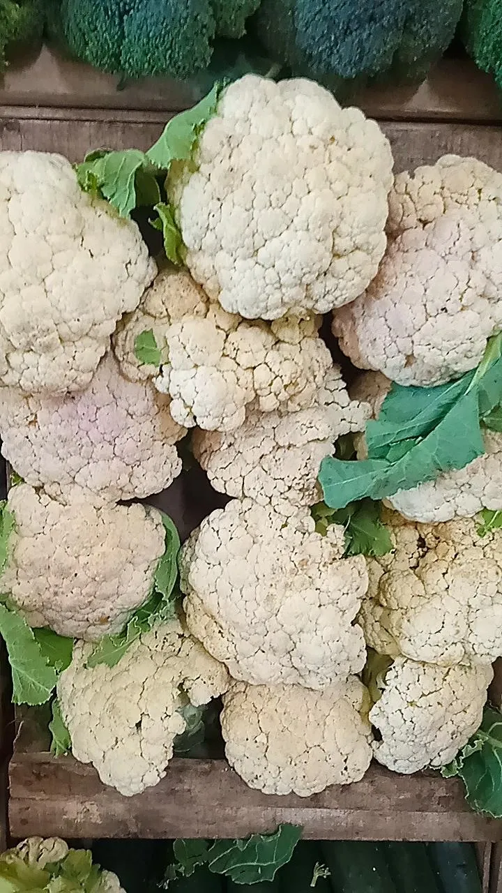 Coliflor por kg
