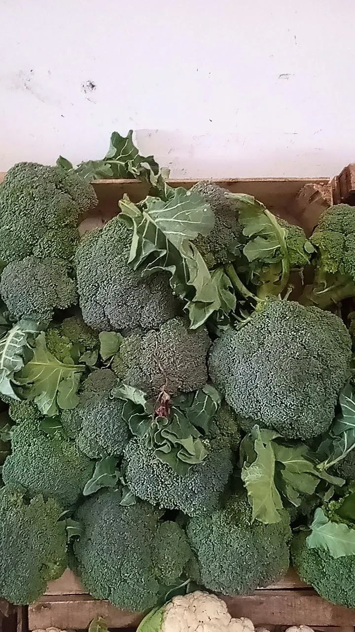 Brócoli por kg