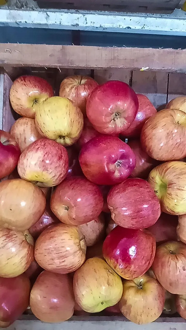 Manzana roja por kg - 2kg x $4000