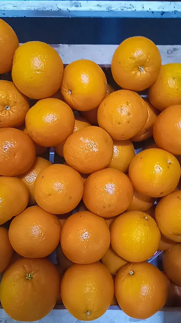 Naranja x KG - 3kg $2500