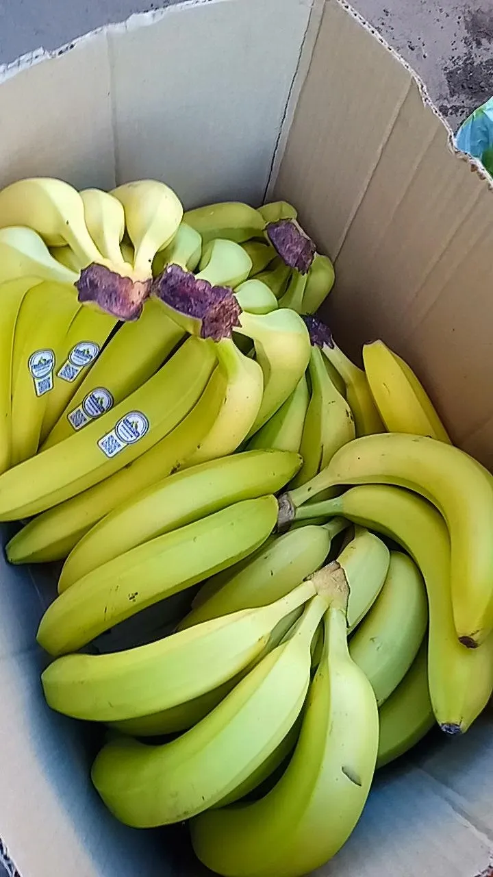 Banana ecuador x KG - 2kg x $5500