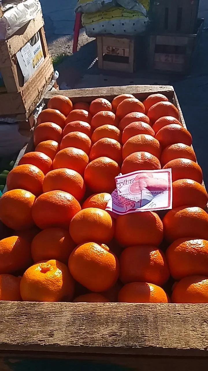 Mandarina cajón