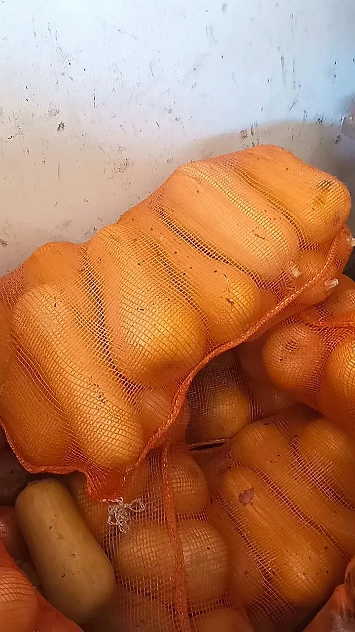 Anco bolsa