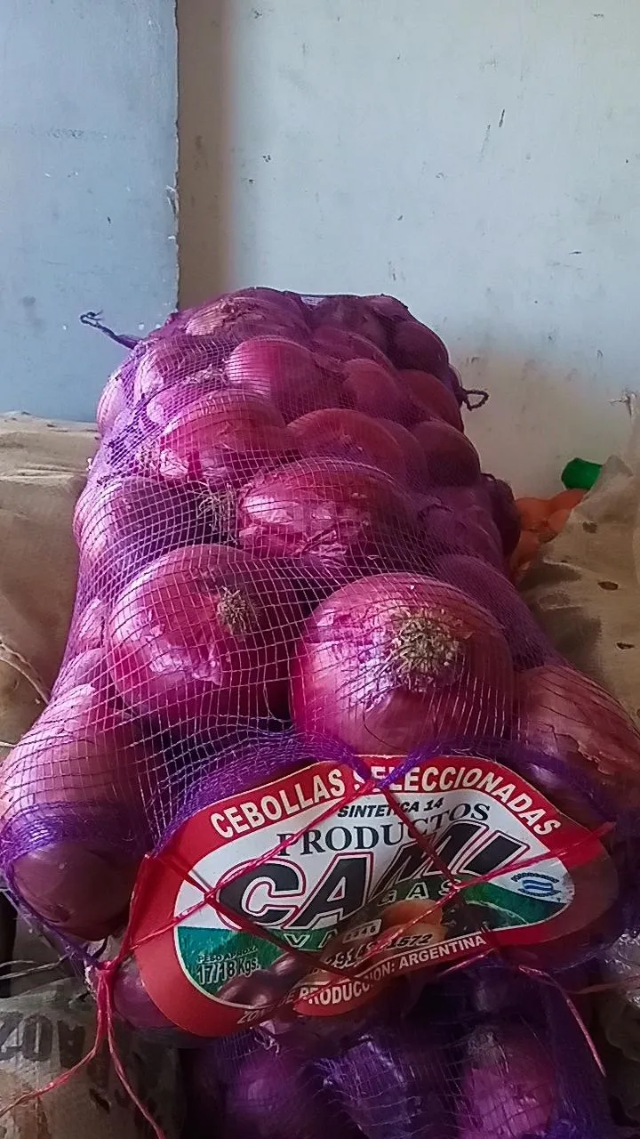 Cebolla morada x KG