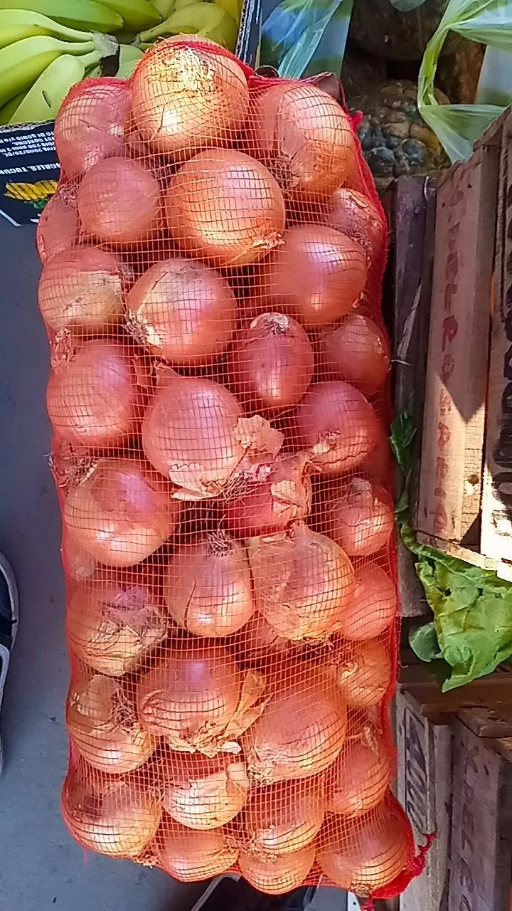 Cebolla tratada bolsa
