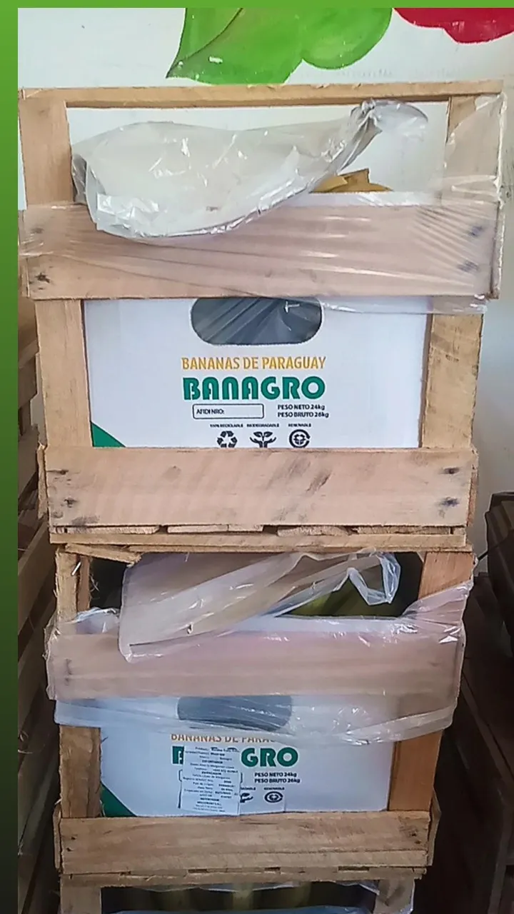 Banana Paraguay cajon