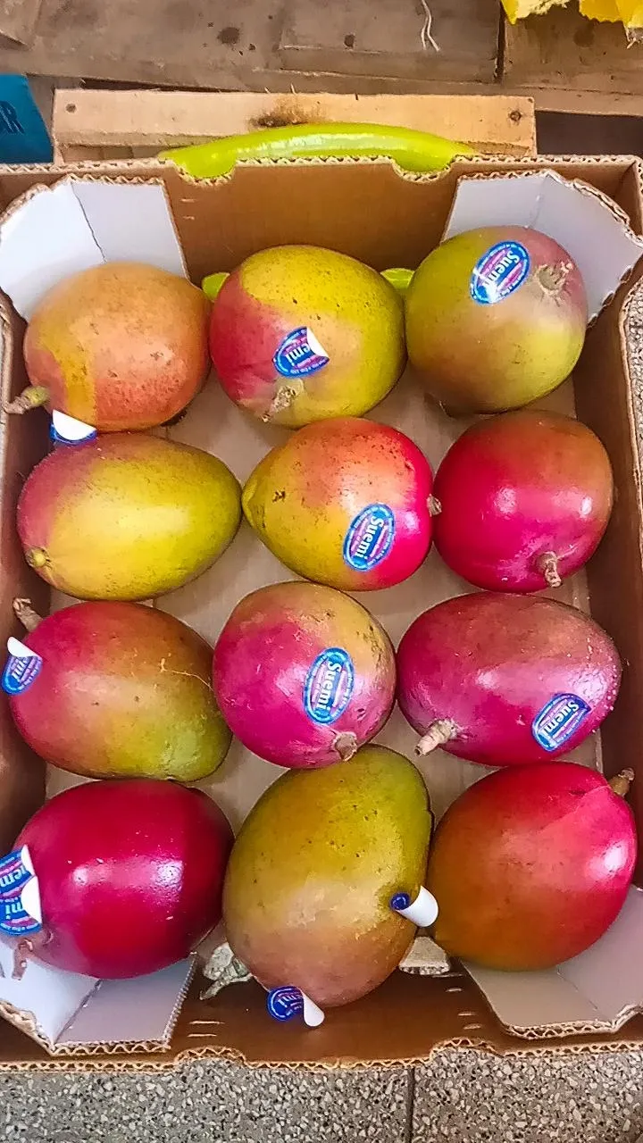 Mangos unidad