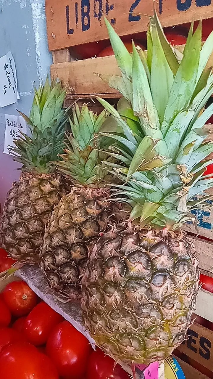 Piñas c/u
