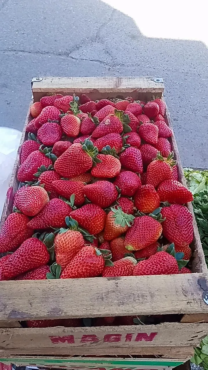 Frutilla Cubeta 500 gr