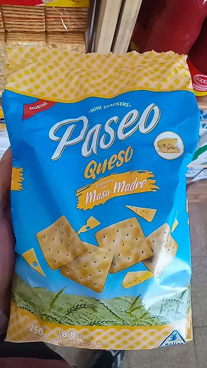SIN STOCK - Galletitas paseo queso