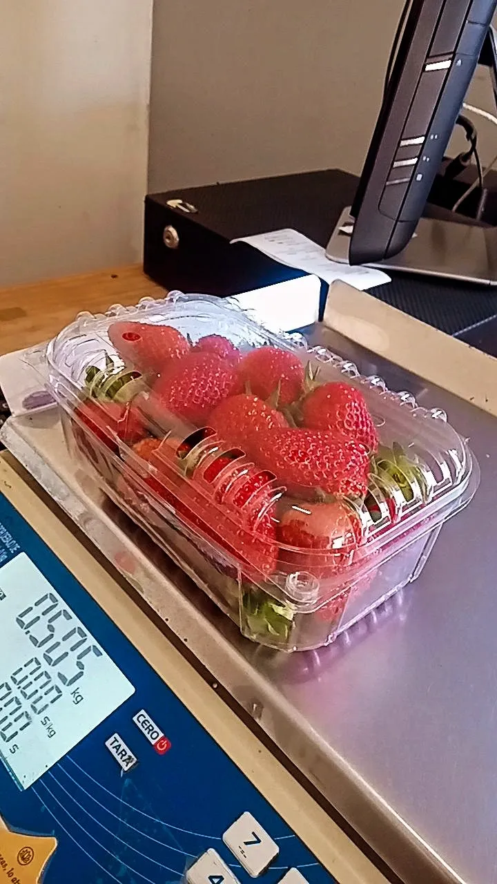 Frutilla Cubeta 500gr
