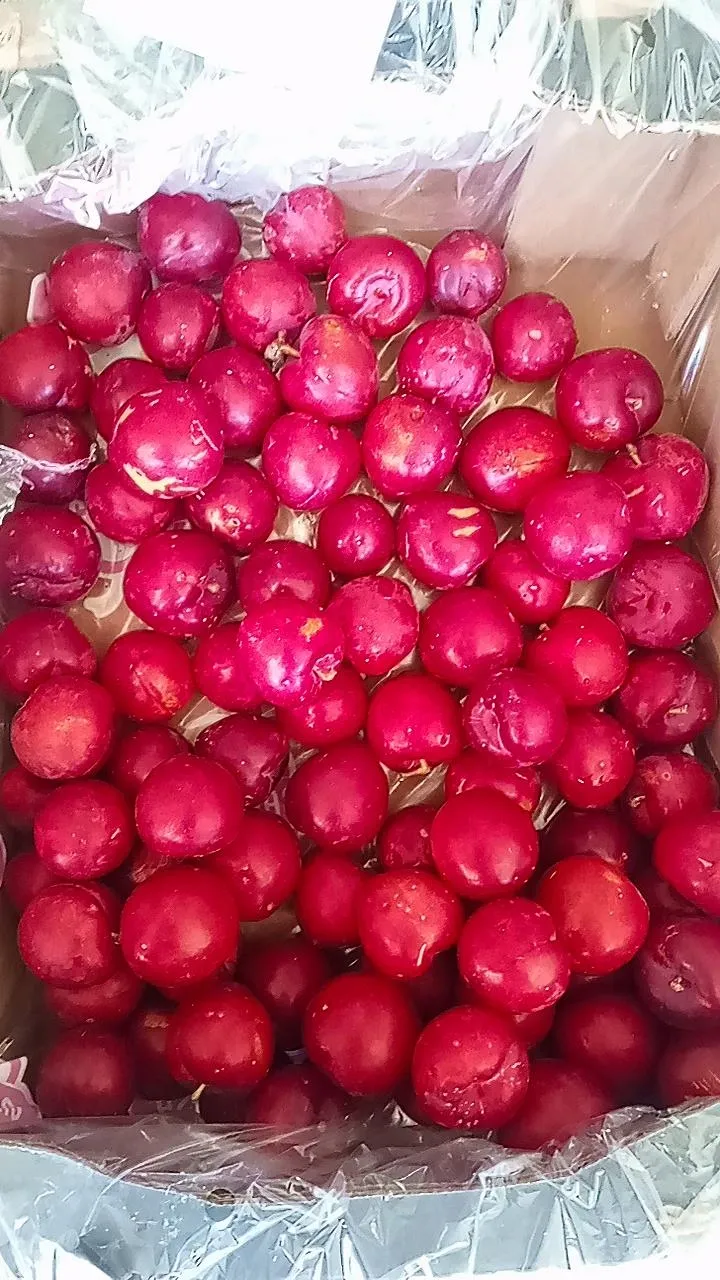 Ciruelas x kg